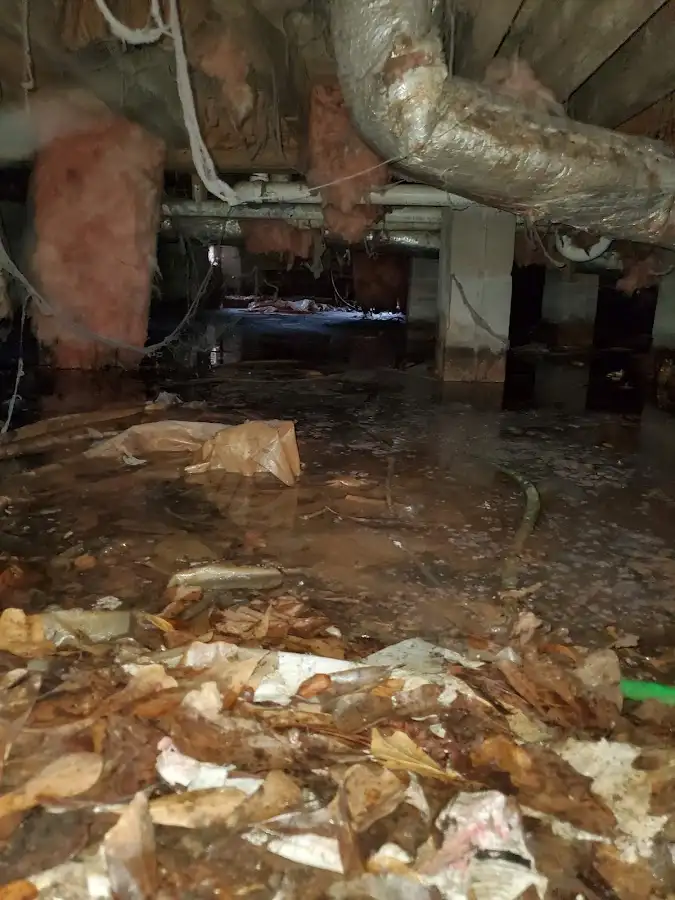 Crawl space flood assessment for Commercial Water Damage Restoration in Chandler